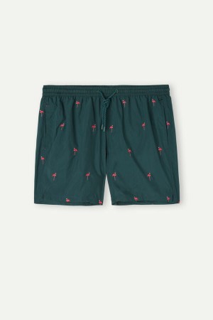 Intimissimi Embroidered Flamingo Men's Swim Shorts Dark Green | USA 2730BCG