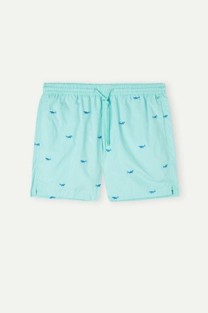 Intimissimi Embroidered Shark Men's Swim Trunks Light Turquoise / Green / Dark Grey | USA 2736KIX