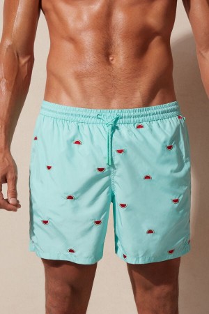 Intimissimi Embroidered Watermelon Men's Swim Shorts Light Turquoise / Green | USA 2729NBF