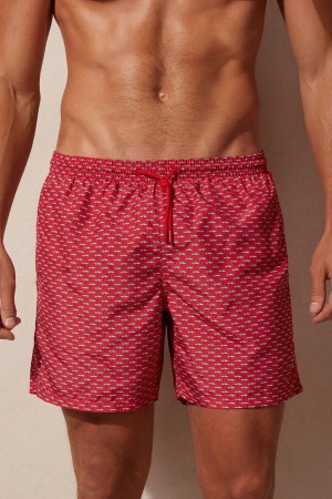 Intimissimi Micro Shark Print Men's Swim Shorts Red / Dark Grey | USA 2734ZGL