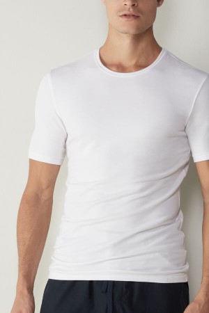 Intimissimi Short-Sleeve Modal-Cashmere Men's T Shirts White | USA 2996HKX