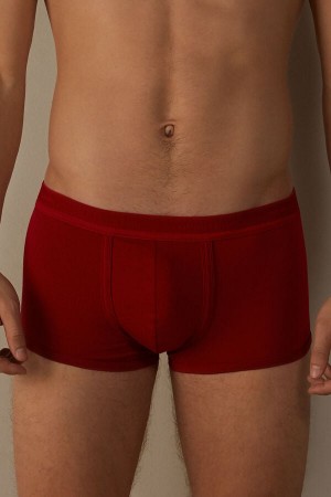 Intimissimi Stretch Supima® Cotton Shorts with Logo Detail Men's Boxer Red / Red | USA 2610WYN