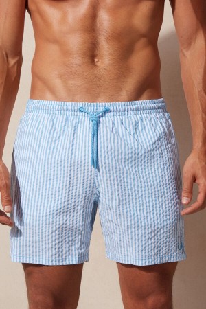 Intimissimi Stripe Print Seersucker Men's Swim Shorts White / Light Blue | USA 2728MAD