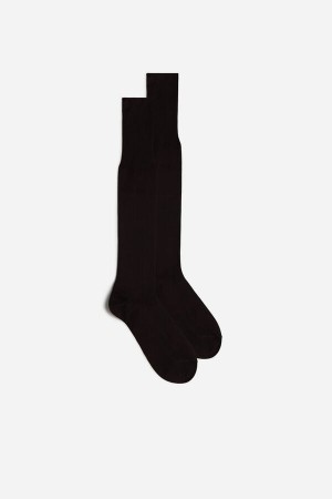 Intimissimi Tall Sateen Egyptian Cotton Men's Socks Brown | USA 2771PQR