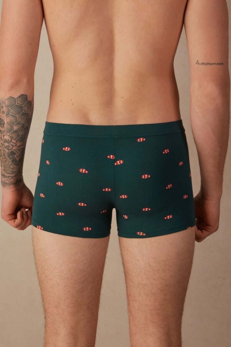 Intimissimi Clownfish in Stretch Supima® Cotton Men's Boxer Dark Green | USA 2651YUF