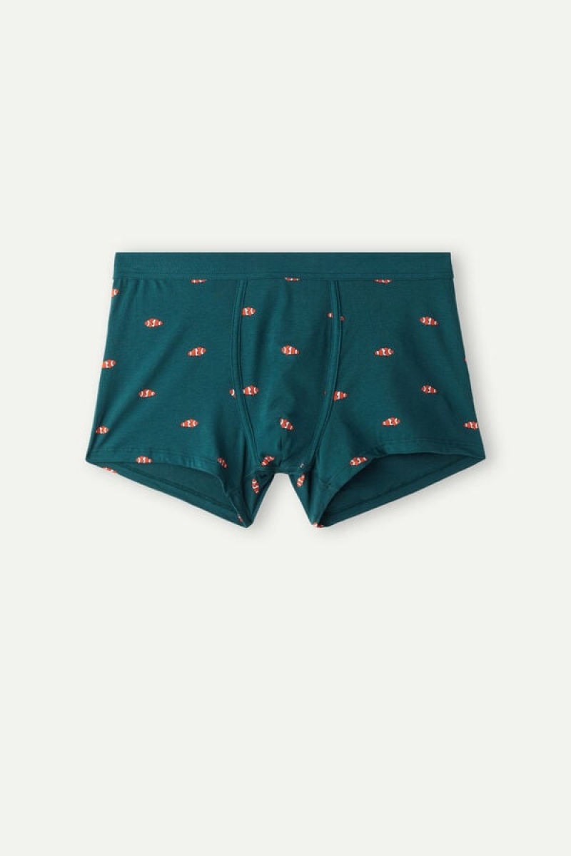 Intimissimi Clownfish in Stretch Supima® Cotton Men's Boxer Dark Green | USA 2651YUF