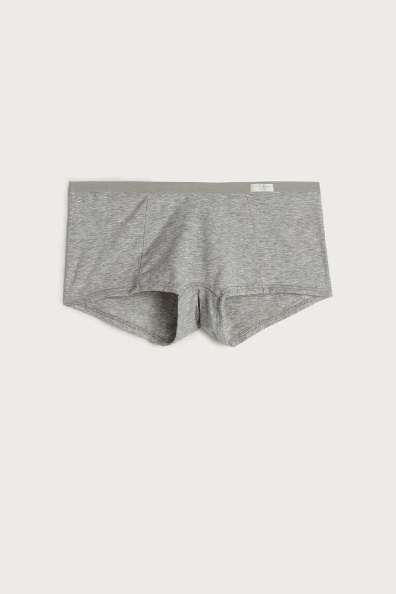 Intimissimi Cotton Boyshorts Women's Panties Light Grey | USA 2338FMD