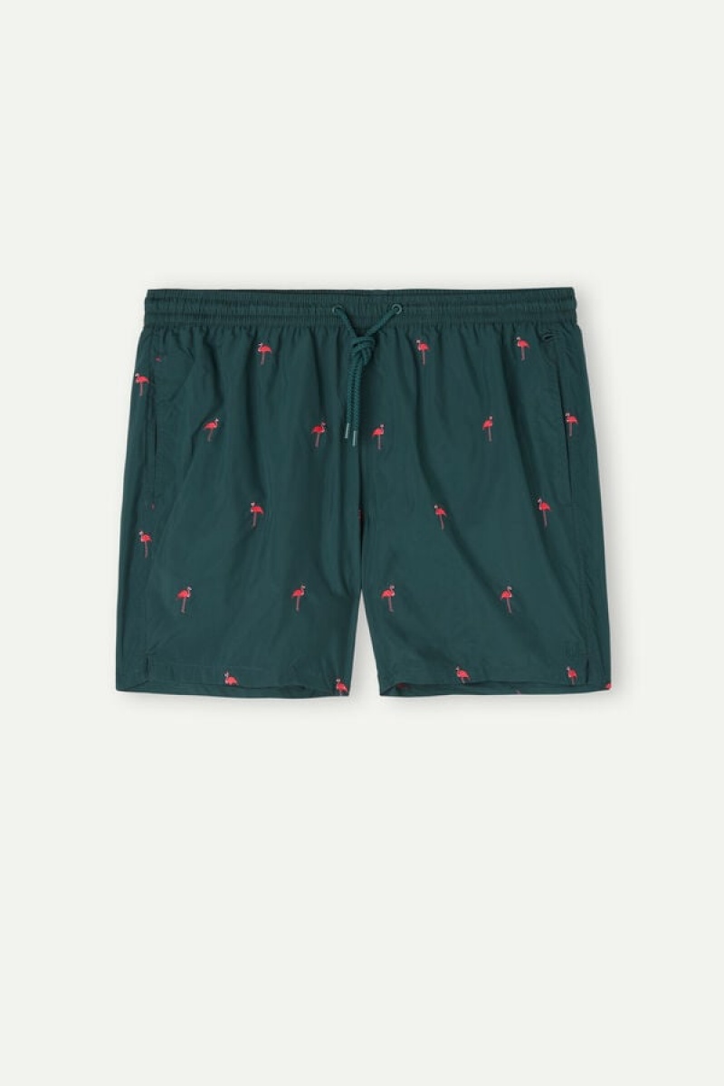 Intimissimi Embroidered Flamingo Men\'s Swim Shorts Dark Green | USA 2730BCG