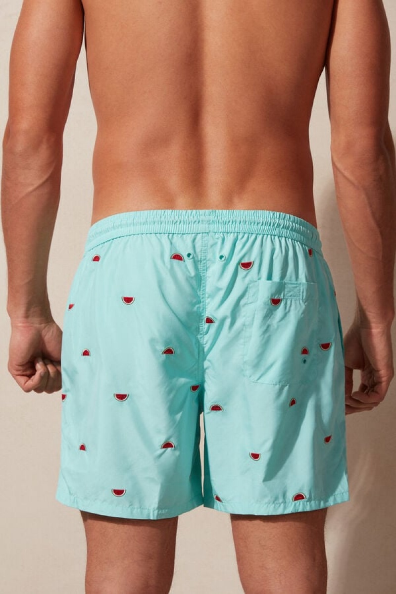 Intimissimi Embroidered Watermelon Men's Swim Shorts Light Turquoise / Green | USA 2729NBF