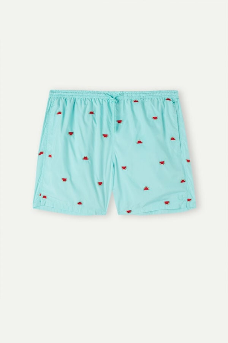 Intimissimi Embroidered Watermelon Men's Swim Shorts Light Turquoise / Green | USA 2729NBF