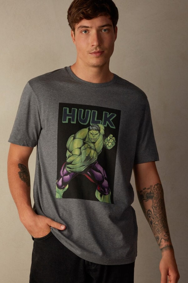 Intimissimi Hulk Print Men's T Shirts Deep Grey | USA 2998FMV