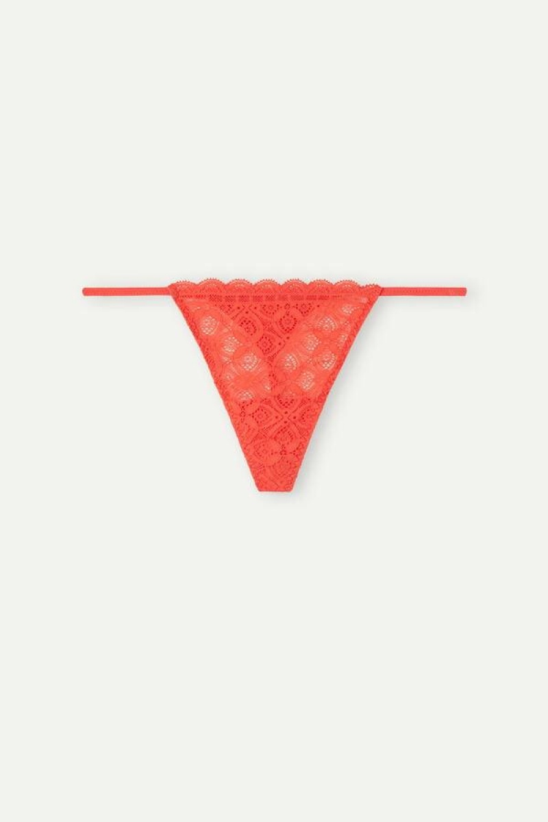 Intimissimi Lace String Thong Women's Panties Deep Red | USA 2251KIR