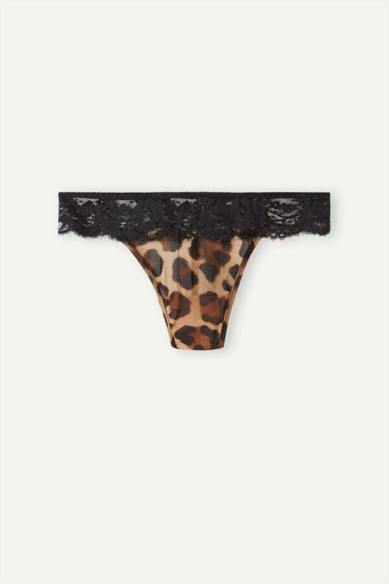 Intimissimi Lady Animalier Thong Women's Panties Brown | USA 2265YUK