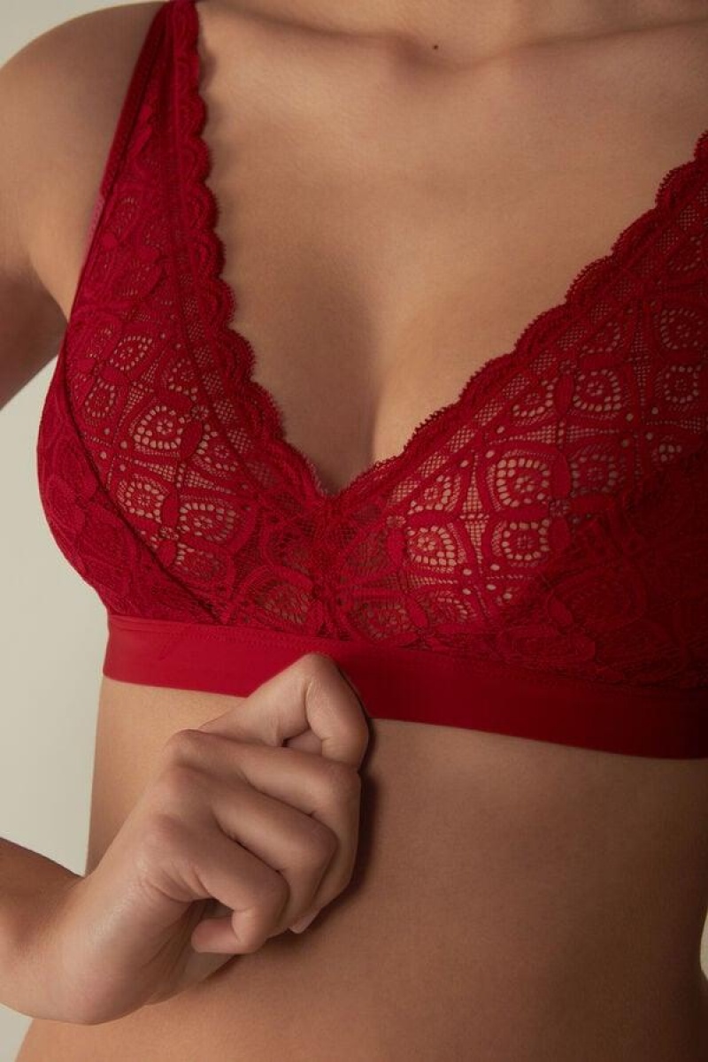 Intimissimi Lara Triangle in Lace Women's Bras Red | USA 1240XFU