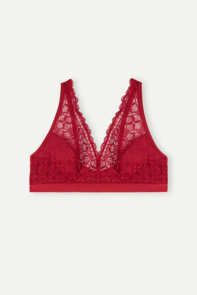 Intimissimi Lara Triangle in Lace Women's Bras Red | USA 1240XFU