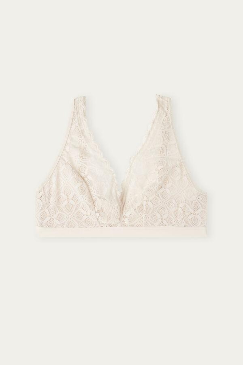 Intimissimi Lara Triangle in Lace Women's Bras Pink | USA 1406TVJ