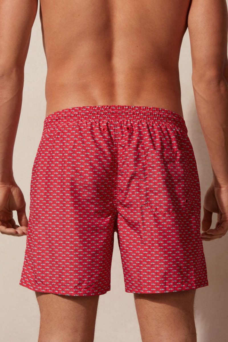 Intimissimi Micro Shark Print Men's Swim Shorts Red / Dark Grey | USA 2734ZGL