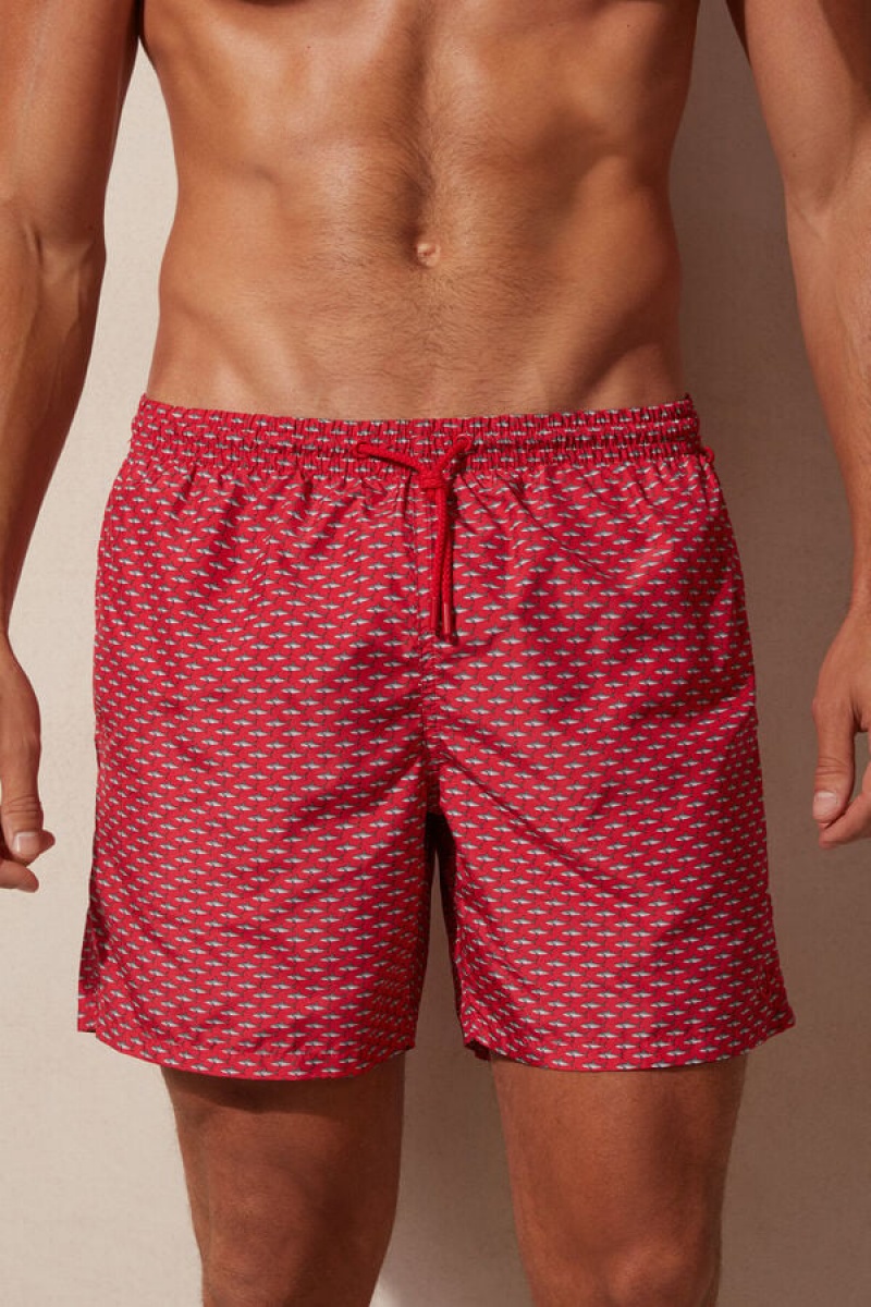 Intimissimi Micro Shark Print Men\'s Swim Shorts Red / Dark Grey | USA 2734ZGL