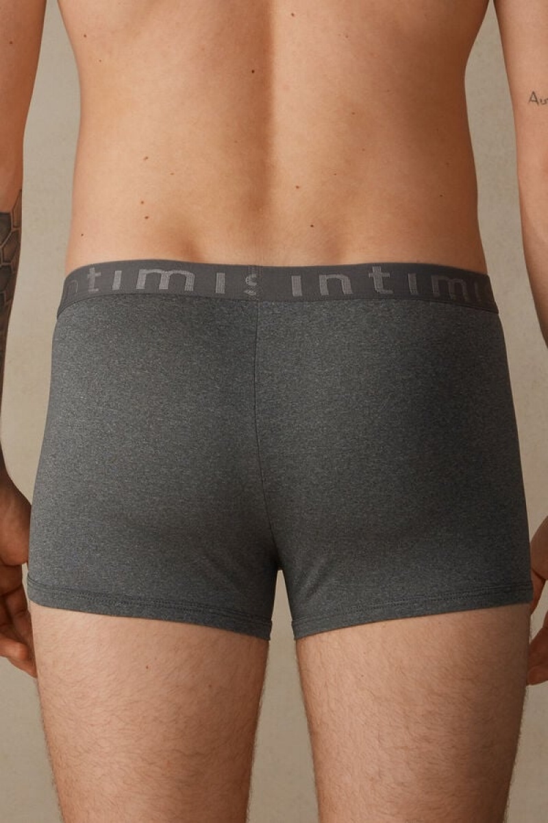 Intimissimi Microfiber Logo Shorts Men's Boxer Deep Grey | USA 2572FMD