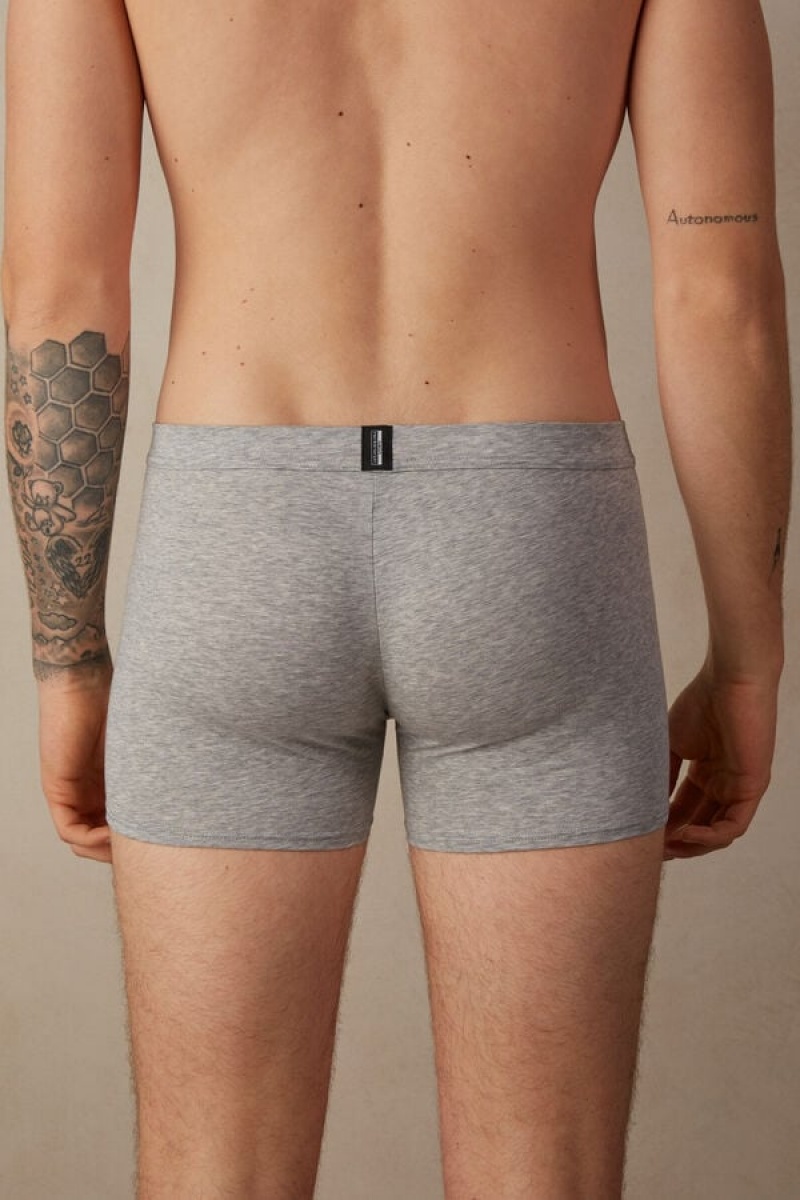 Intimissimi Natural Fresh Supima® Cotton Men's Boxer Light Grey | USA 2573DNF