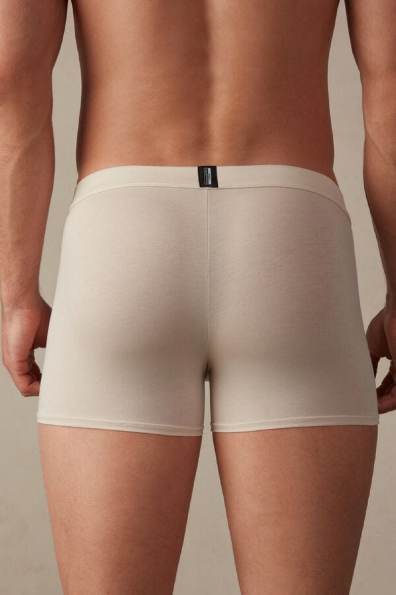 Intimissimi Natural Fresh Supima® Cotton Men's Boxer Beige | USA 2587NBW