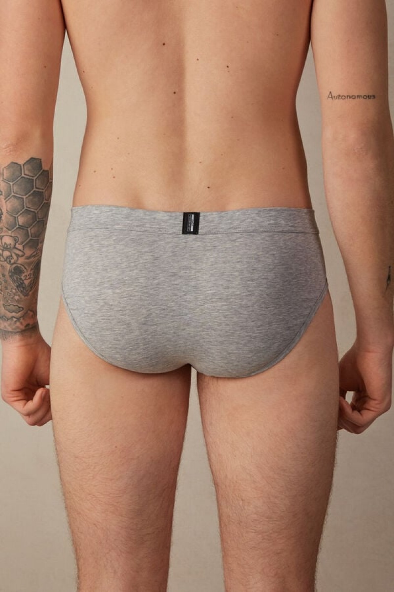 Intimissimi Natural Fresh Supima® Cotton Men's Briefs Light Grey | USA 2700PQA