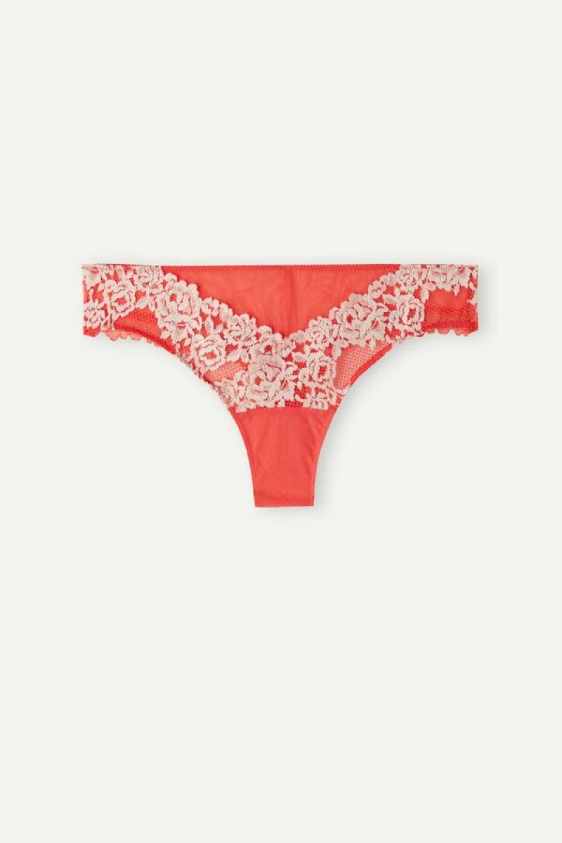 Intimissimi Pretty Flowers Brazilian Women's Panties Deep Red / White | USA 2468FMD