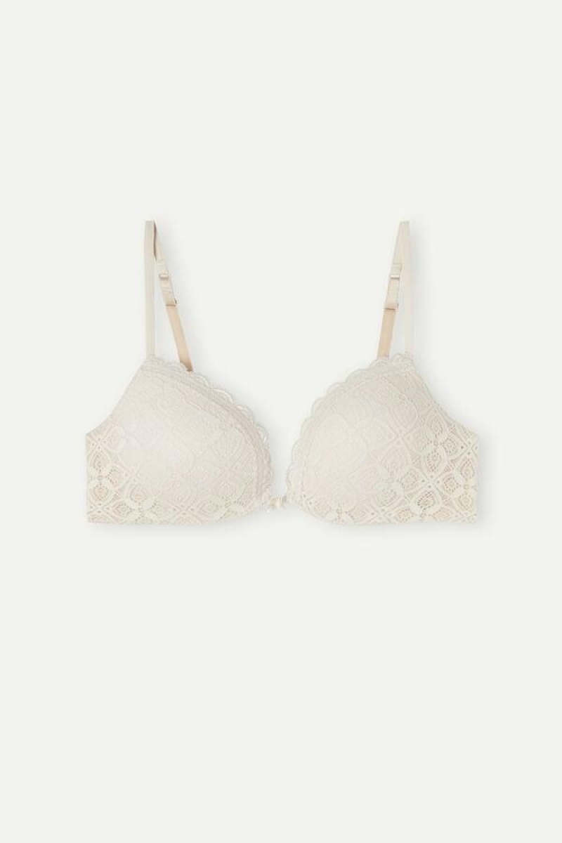 Intimissimi Silvia Push-up in Lace Women's Bras Pink | USA 1129FMM