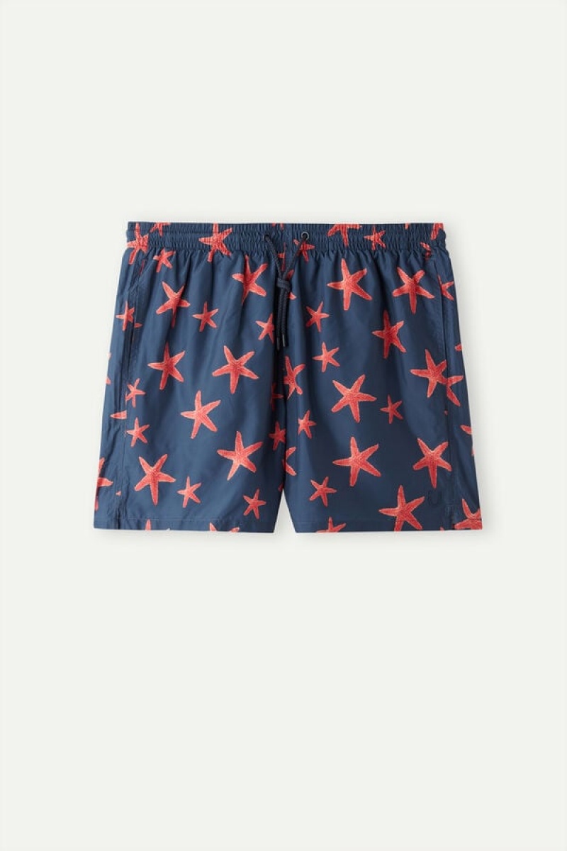 Intimissimi Starfish Print Men's Swim Trunks Blue | USA 2763JJC