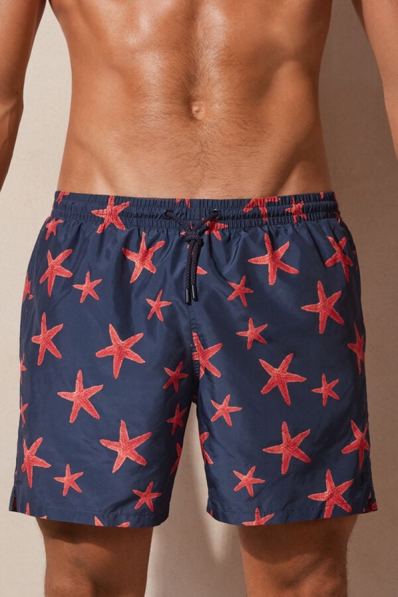 Intimissimi Starfish Print Men\'s Swim Trunks Blue | USA 2763JJC