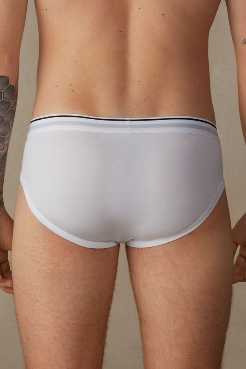 Intimissimi Supima Cotton with Visible Elastic Men's Briefs White / Blue | USA 2681WYK