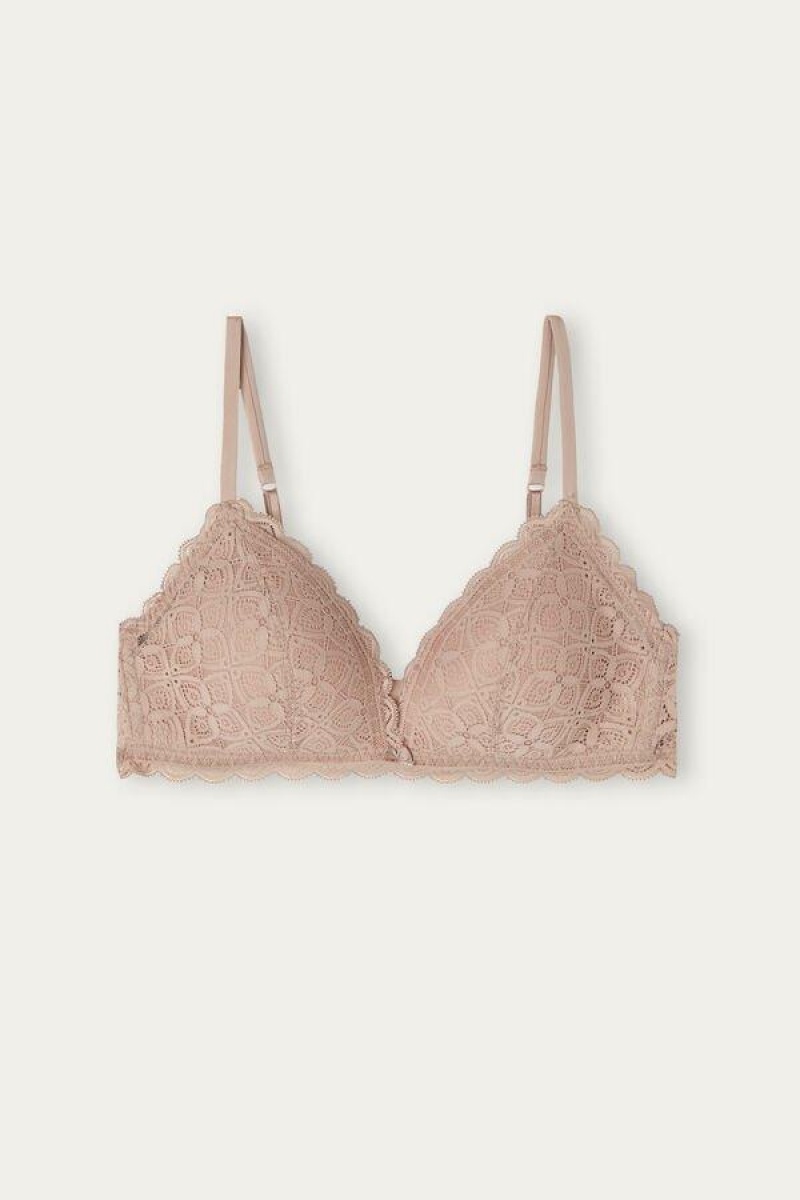 Intimissimi Tiziana Triangle in Lace Women's Bras Beige | USA 1175ISZ