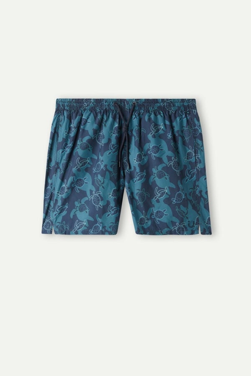 Intimissimi Turtle Print Men's Swim Trunks Blue | USA 2749TVI